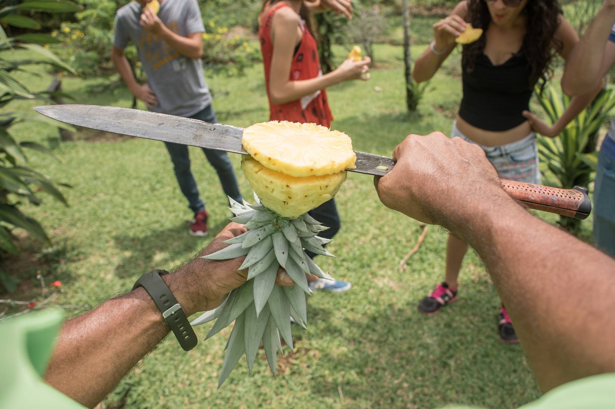 Consultoria turistica Costa Rica