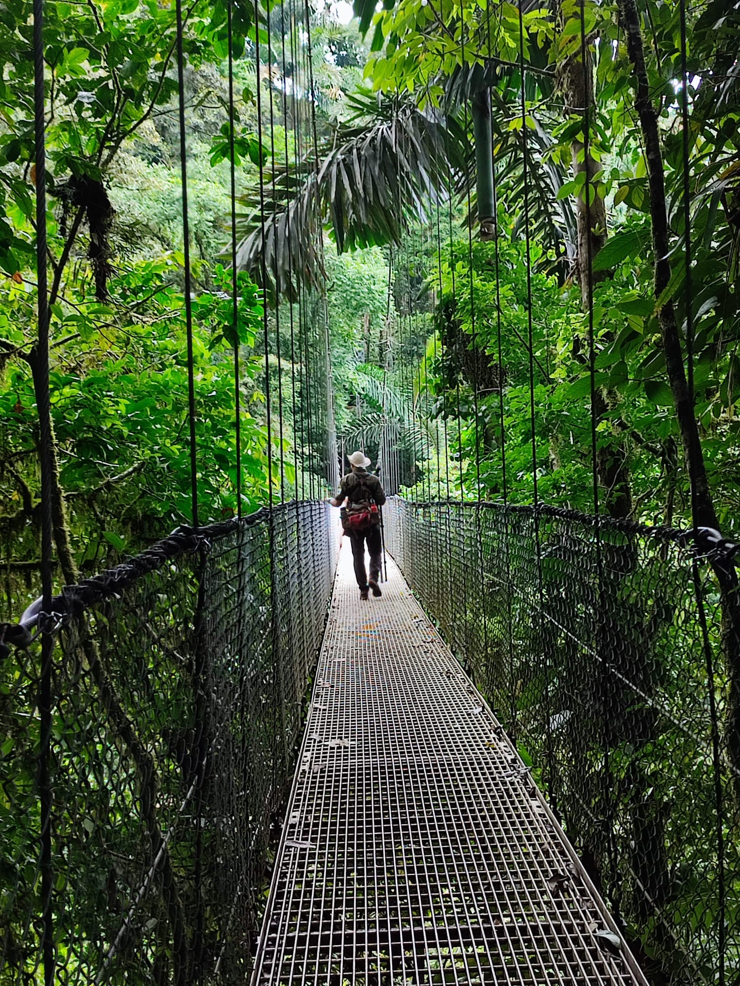 Consultoría turística para ecoturismo