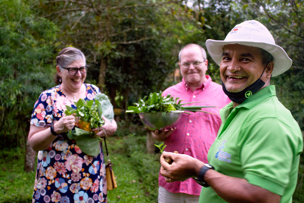 Turistas recolectando ingredientes frescos en una huerta orgánica en La Fortuna, Costa Rica, como parte de un tour de cocina desarrollado con consultoría turística