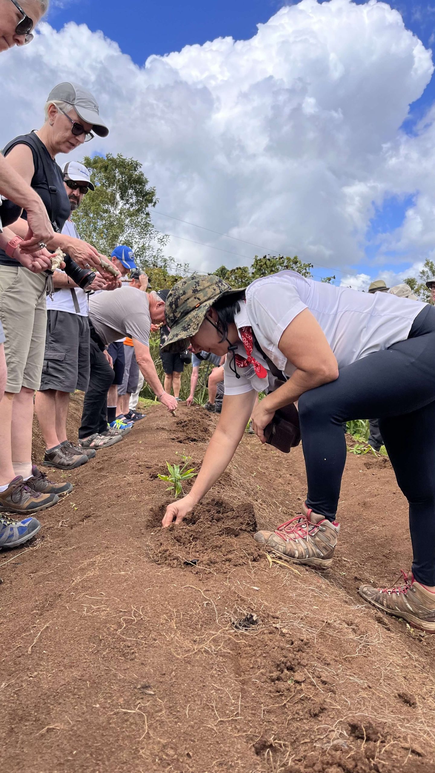Grupo de turistas sembrando plantas en finca rural como parte de una experiencia guiada de consultorías turísticas en Costa Rica